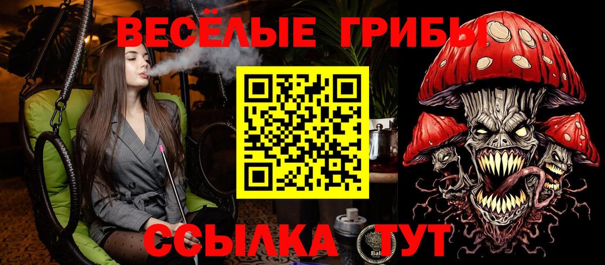 Псилоцибиновые грибы мицелий Краснознаменск