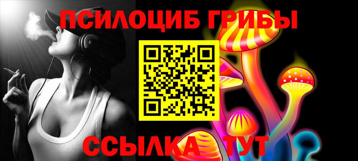 Галлюциногенные грибы мицелий  закладки  Краснознаменск  Вход с VPN 